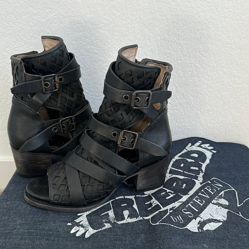 FREEBIRD BY STEVEN CHELSEY